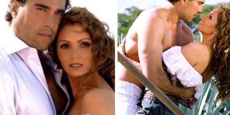 ¡Gaviotaaaa!: Angélica Rivera y Eduardo Yáñez se reencuentran 15 años después