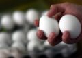 ¡HUEVOS!: gripe aviar impacta el costo de los “blanquillos” en Matamoros