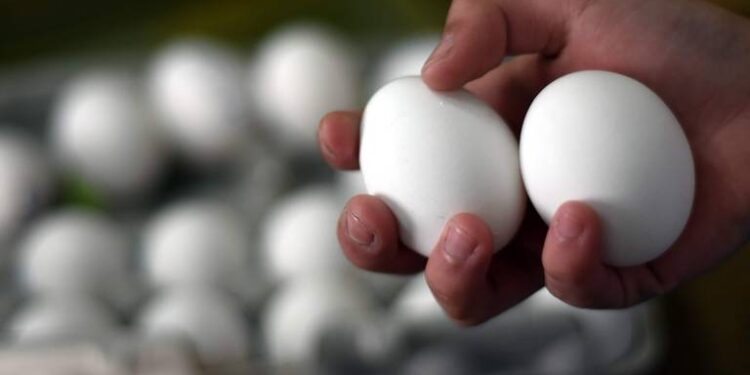 ¡HUEVOS!: gripe aviar impacta el costo de los “blanquillos” en Matamoros