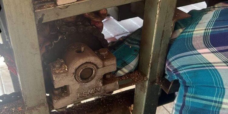 Acaba con el BRAZO DESPEDAZADO en máquina de tortillas en Altamira