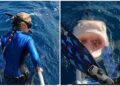 ¡Escalofriante VIDEO!, científica casi es tragada por TIBURÓN