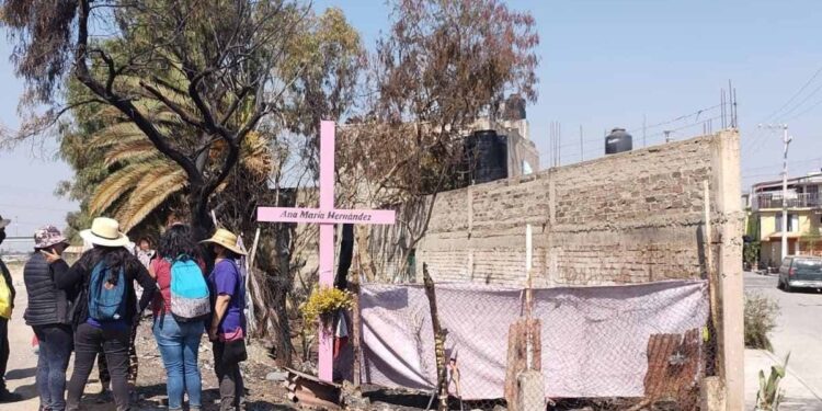 Ana María fue QUEMADA viva junto a sus 5 perritos: su humilde padre pide JUSTICIA