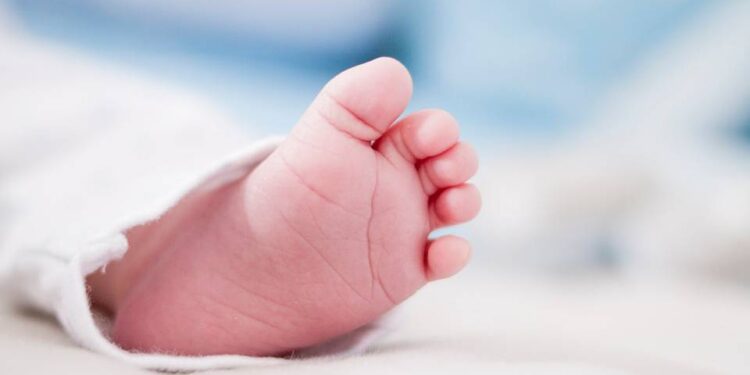 BEBÉ de 5 meses está GRAVE tras horrible accidente en el que murieron sus padres