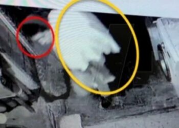 Video: Así, tíos de Freddy dejaron su CADÁVER en callejón; presuntamente su primo lo MATÓ