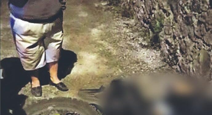 ¿Venganza?, MATAN a joven en Xochimilco; lo culpaban de desaparecer a su novia