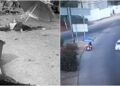 Video. Pese a pruebas, sueltan a BORRACHO que ARROLLÓ a “tamalero” y lo MATÓ