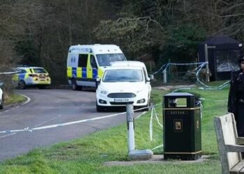 Mujer MUERE tras ser atacada por 8 PERROS a los que paseaba