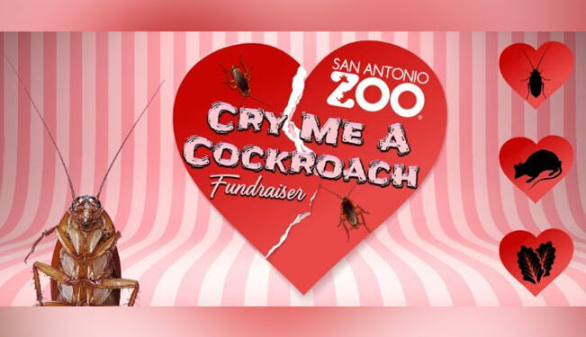 Zoológico de EU te invita a ponerle el NOMBRE de tu EX ¡a una CUCARACHA!