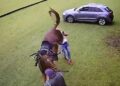 ¡Caballo se defiende de AZOTES, patea y MATA a su verdugo!