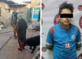 Video. ¡Despiadado sujeto GOLPEA a su indefensa ABUELITA con un tubo!