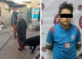 Video. ¡Despiadado sujeto GOLPEA a su indefensa ABUELITA con un tubo!