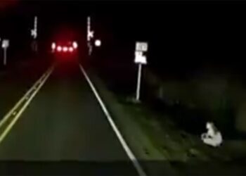 Video: ¡Terrorífico!, trailero capta FANTASMA que lo SALUDA en carretera