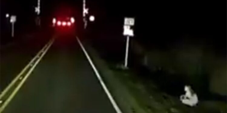 Video: ¡Terrorífico!, trailero capta FANTASMA que lo SALUDA en carretera