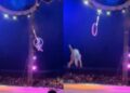 Video: Trapecista se salva de MORIR tras caer de las alturas en show en Tampico