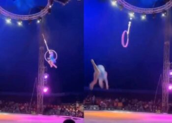 Video: Trapecista se salva de MORIR tras caer de las alturas en show en Tampico