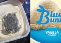 ¿Helado de «chico-SAPOTE»?, mujer encuentra un sapo en su HELADO de vainilla