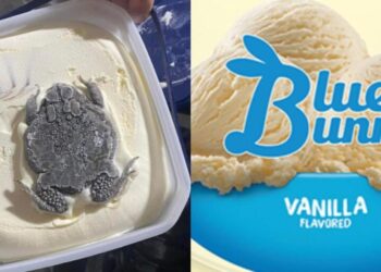 ¿Helado de «chico-SAPOTE»?, mujer encuentra un sapo en su HELADO de vainilla