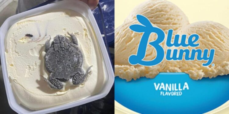 ¿Helado de «chico-SAPOTE»?, mujer encuentra un sapo en su HELADO de vainilla