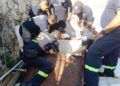 Perrita rescata a abuelito que quedó atrapado en una cisterna ¡4 días!
