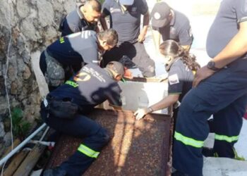 Perrita rescata a abuelito que quedó atrapado en una cisterna ¡4 días!