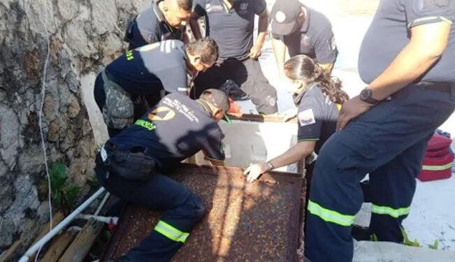 Perrita rescata a abuelito que quedó atrapado en una cisterna ¡4 días!