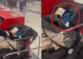 ¡Increíble!, pareja ABANDONA a su BEBÉ en aeropuerto para no pagarle boleto
