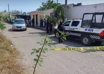Bebé pasa días junto al CADÁVER de su madre; la mataron en Veracruz