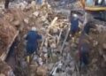 Rescatan a CABALLITO que sobrevivió 21 días bajo los escombros en Turquía