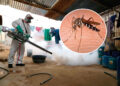 Terrible: declaran emergencia sanitaria por brote de DENGUE en Perú