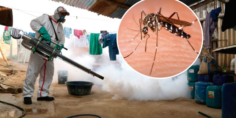 Terrible: declaran emergencia sanitaria por brote de DENGUE en Perú