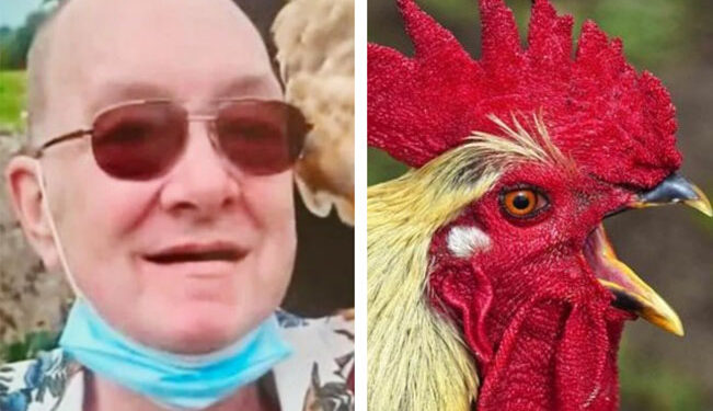 GALLO ataca a anciano y lo MATA; el sujeto se DESANGRÓ