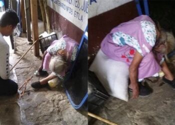 Ancianita trabajó hasta MORIR: su CADÁVER pasó horas ignorado en el mercado