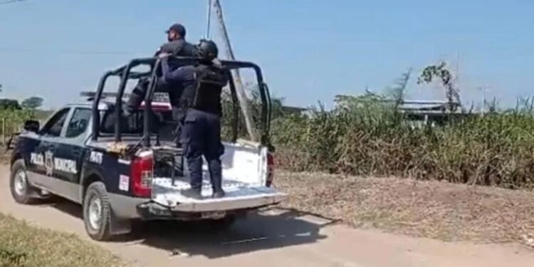 ASESINAN a NIÑO cuando estaba pastoreando en Oaxaca; hay un detenido