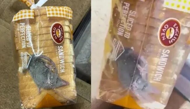 ¡Sándwich de roedor!, encuentra una RATA viva dentro de su bolsa de pan