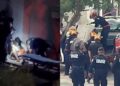 Terrible: perros atacan a joven y le arrancan el brazo en Yucatán