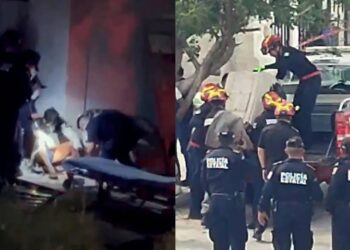 Terrible: perros atacan a joven y le arrancan el brazo en Yucatán