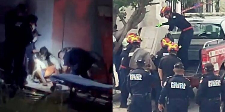 Terrible: perros atacan a joven y le arrancan el brazo en Yucatán