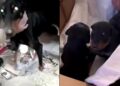 Video: Salvan a perrita de entre escombros en Turquía, ¡tuvo cachorritos!