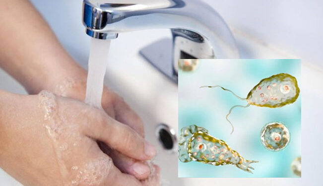 MUERE por ameba que devoró su CEREBRO por lavar su cara con agua de la llave