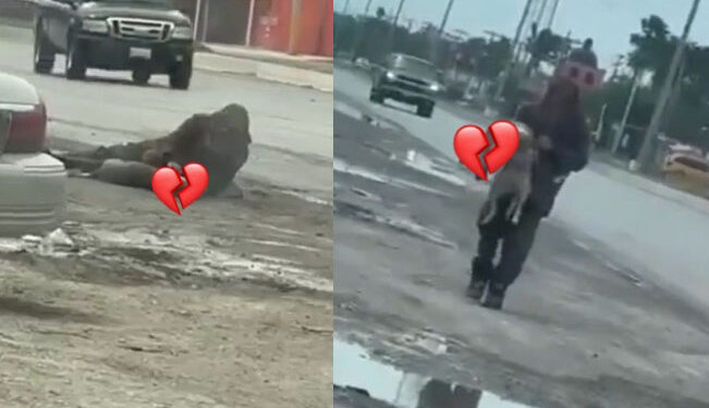 Video. Juntos hasta el fin: indigente llora y acaricia el cadáver de su perrito atropellado