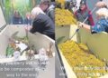 Convierte el cadáver de su hijo en composta porque “amaba la naturaleza”