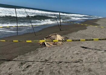 Madre da su vida por la de sus hijos: intentó salvarlos de ahogarse y murió