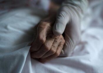 Sangriento final: revientan el rostro a ancianita salvajemente y la matan