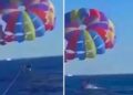 Video. ¡Insólito!, tiburón salta del agua y muerde a sujeto en parapente