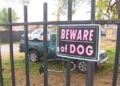 Albañil MUERE atacado por 4 perros cuando hacía trabajos en un domicilio
