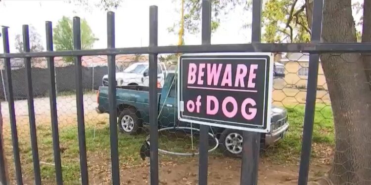 Albañil MUERE atacado por 4 perros cuando hacía trabajos en un domicilio