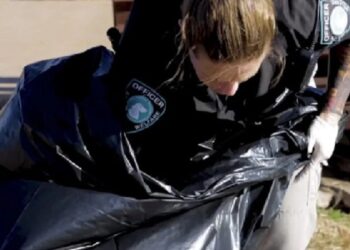 Terror en Oklahoma: buscan a ASESINO serial de PERROS