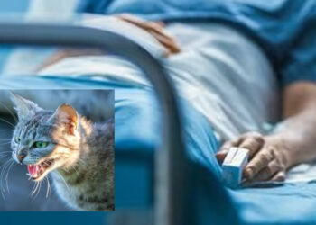 Con daño cerebral irreversible, dan de alta a mujer que contrajo rabia en Nayarit