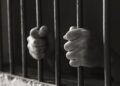 Tras ser asaltado, persigue, arrolla y mata a ladrón; lo acusan de homicidio
