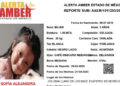 ¿Has visto a SOFÍA?, tiene 3 añitos, su familia sufre su desaparición en Edoméx